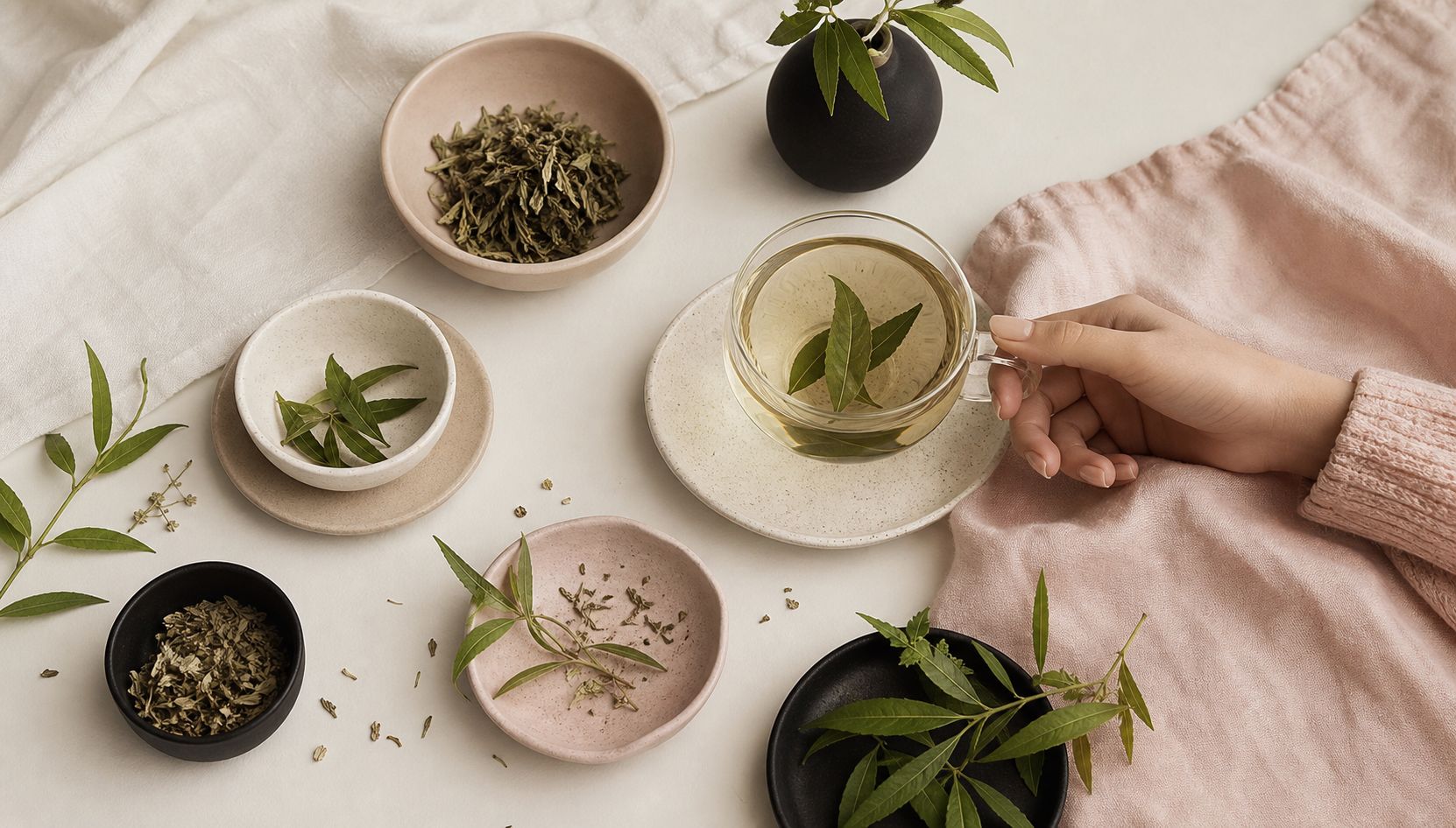 Tisane de verveine : digestion, sommeil et plus encore